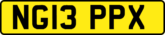 NG13PPX