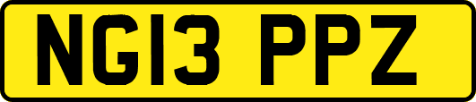 NG13PPZ