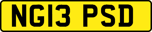 NG13PSD