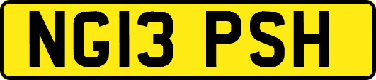 NG13PSH