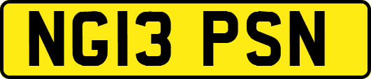 NG13PSN