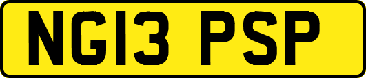 NG13PSP