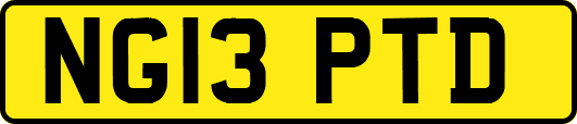 NG13PTD