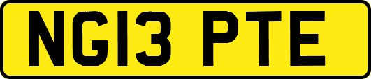 NG13PTE