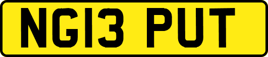 NG13PUT