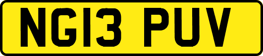 NG13PUV