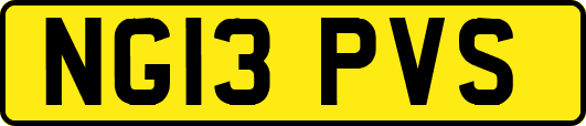 NG13PVS