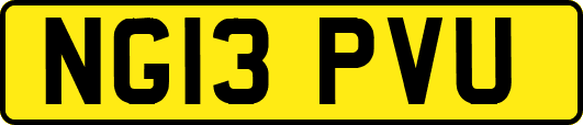 NG13PVU