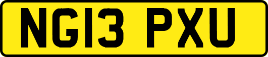 NG13PXU