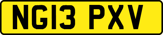 NG13PXV