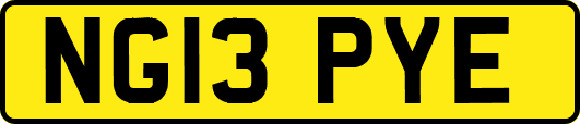 NG13PYE