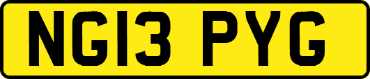 NG13PYG
