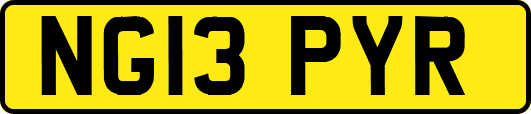 NG13PYR