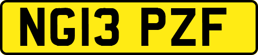 NG13PZF
