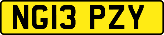 NG13PZY