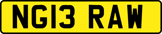 NG13RAW