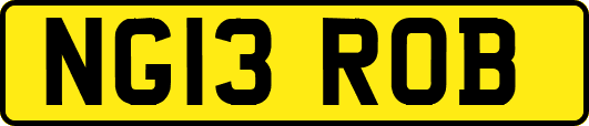 NG13ROB