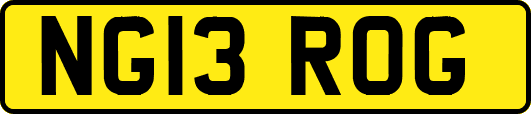 NG13ROG