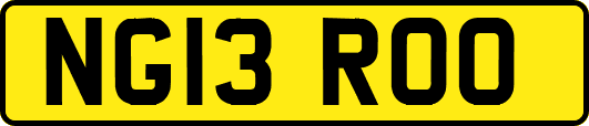 NG13ROO