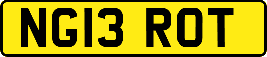 NG13ROT