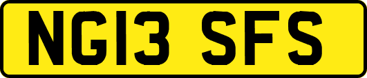 NG13SFS