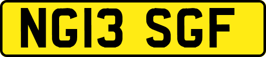 NG13SGF