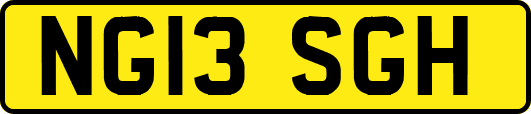 NG13SGH