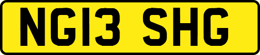 NG13SHG