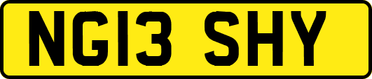 NG13SHY