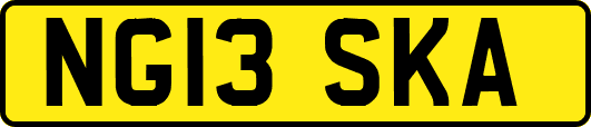 NG13SKA