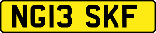 NG13SKF