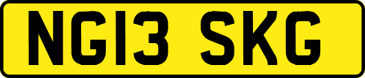 NG13SKG