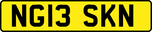 NG13SKN