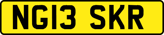 NG13SKR