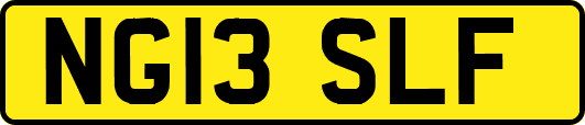 NG13SLF