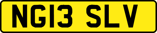 NG13SLV