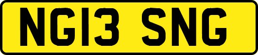 NG13SNG