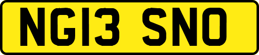 NG13SNO
