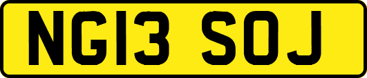 NG13SOJ
