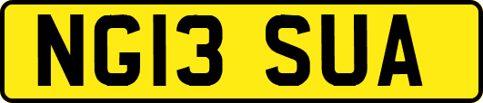 NG13SUA