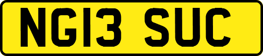 NG13SUC