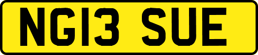NG13SUE