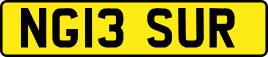 NG13SUR