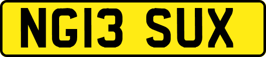 NG13SUX