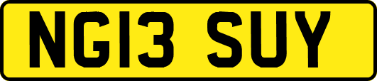 NG13SUY