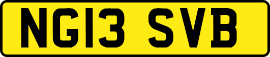 NG13SVB