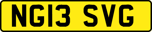 NG13SVG