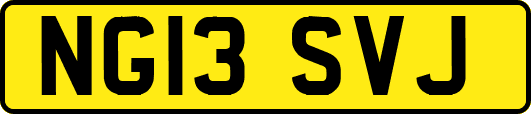 NG13SVJ