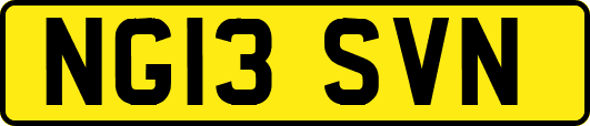 NG13SVN