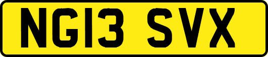 NG13SVX